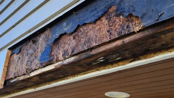 Rot Repair Experts in Seattle, WA