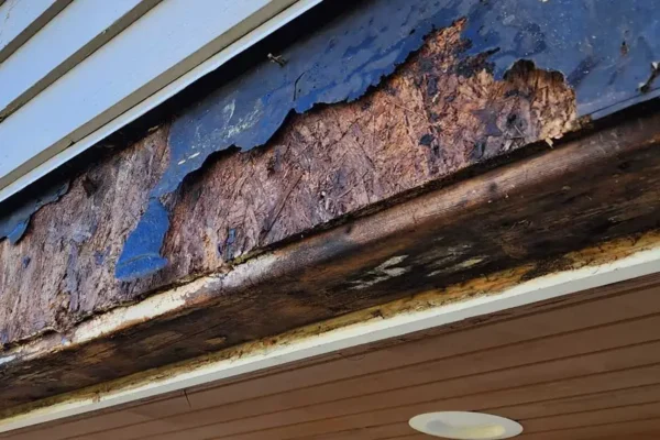 Rot Repair Experts in Seattle, WA